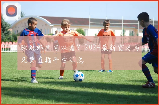 欧冠哪里可以看？2024最新官方与免费直播平台汇总