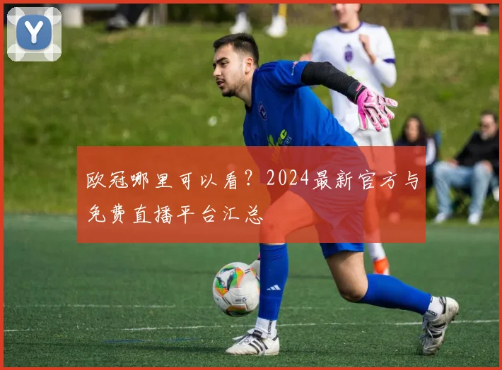 欧冠哪里可以看？2024最新官方与免费直播平台汇总