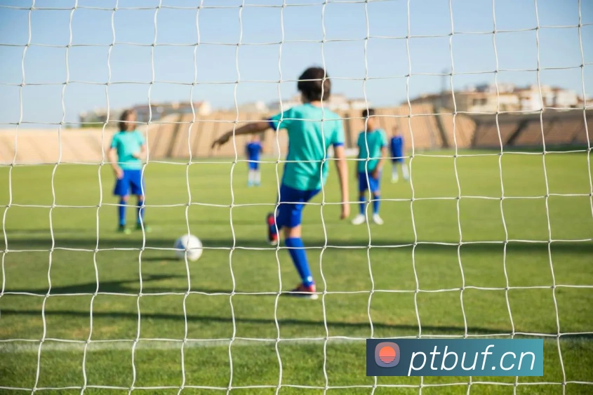 星空官方体育入口服务体系